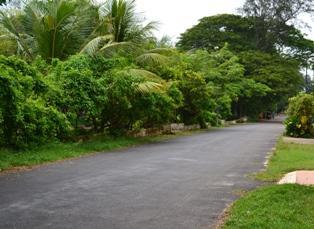 منتجع ثارافاد هيريتدج Alappuzha المظهر الخارجي الصورة